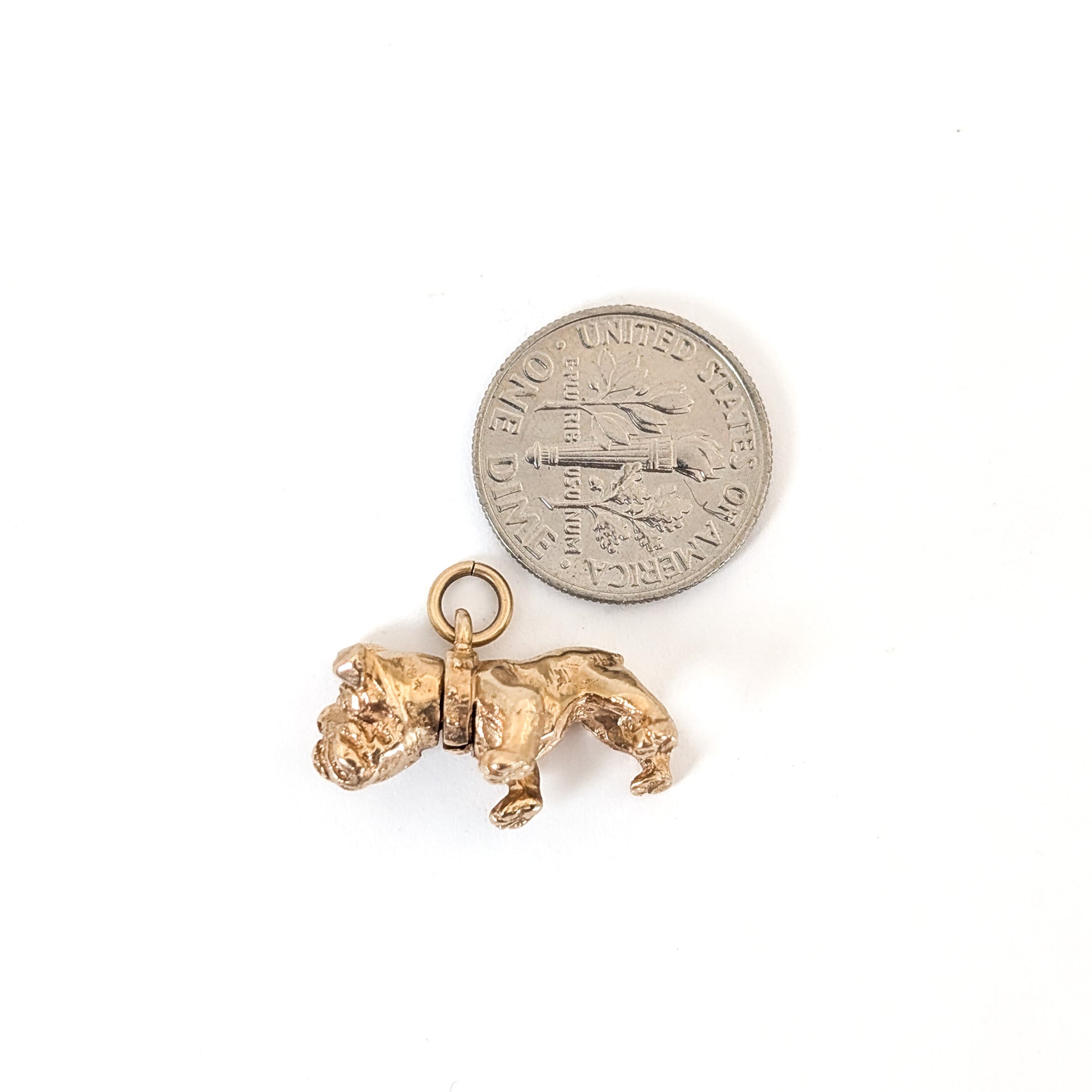 Vintage 14k Gold bulldog mechanical charm next to a U.S. quarter on a white background